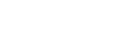Digital 113